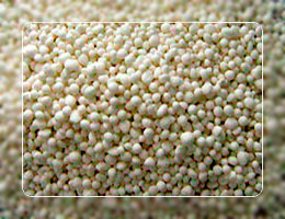 Ammonium sulfate - nitrate (ASN)
