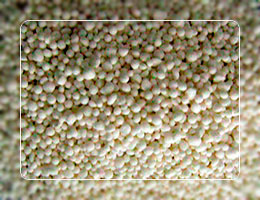 Granulated calcium nitrate